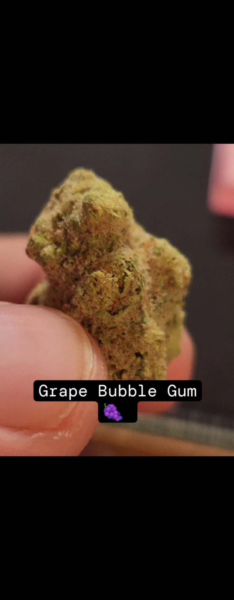 Grape Bubble Gum – Flower Review – MUV – [8/10]